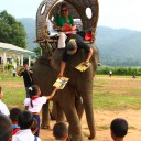Elephant Mobile Library